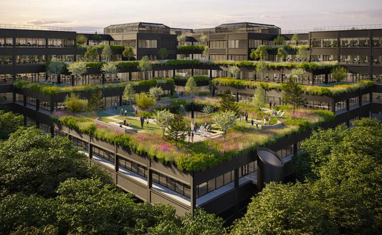 New lease of life for Mountbatten House and gardens