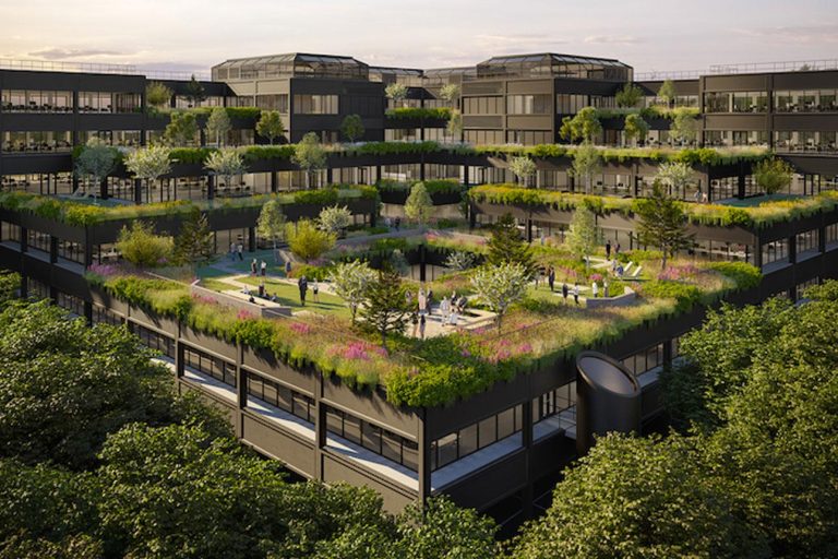 New lease of life for Mountbatten House and gardens